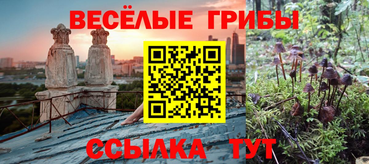 Йошкар-Ола  МДМА  Кокаин  Вход с VPN  МАРИХУАНА  ЭКСТАЗИ  ГАШИШ  Меф кристаллы 